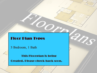 Three Bedroom / One Bath 