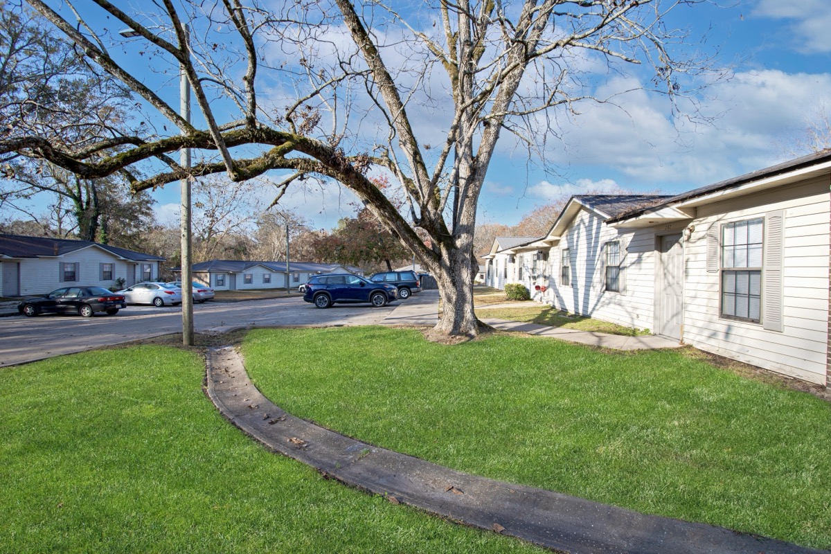 The Meadows gallery photo 2