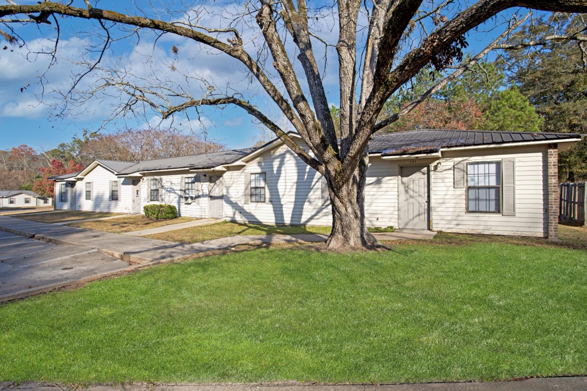 The Meadows gallery photo 3